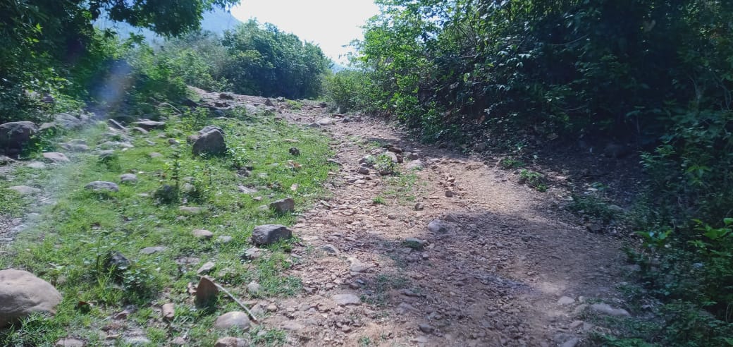 రెబ్బ వనధార గ్రామాలకు రోడ్ సదుపాయం కల్పించండి